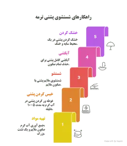 اینفوگرافی راهکارهای شستشوی پشتی ترمه