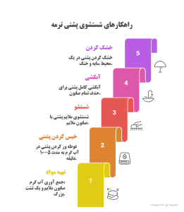 اینفوگرافی راهکارهای شستشوی پشتی ترمه